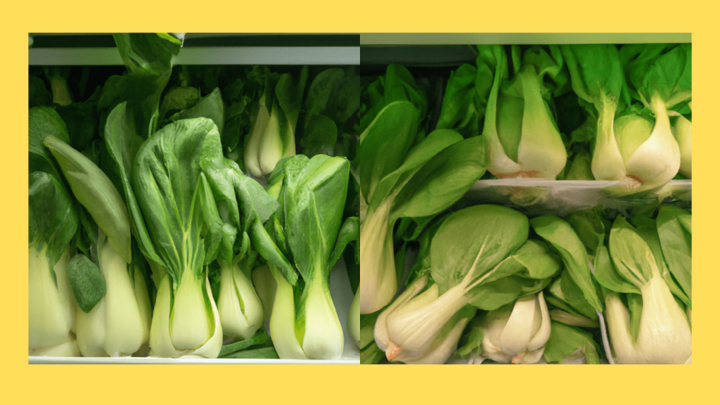 Freezing bok choy