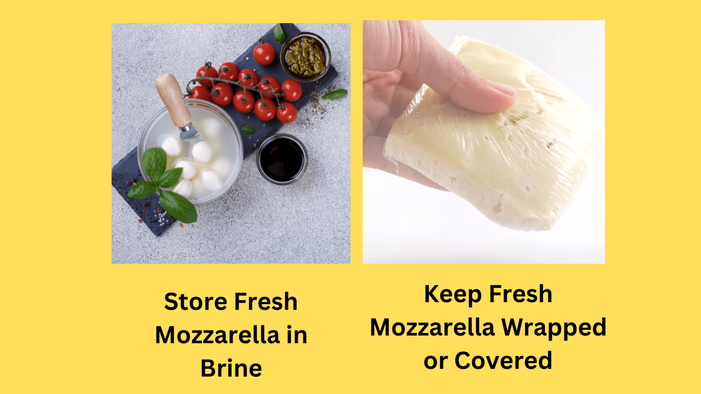 How to Store Fresh Mozzarella Keep Your Cheese Fresh
