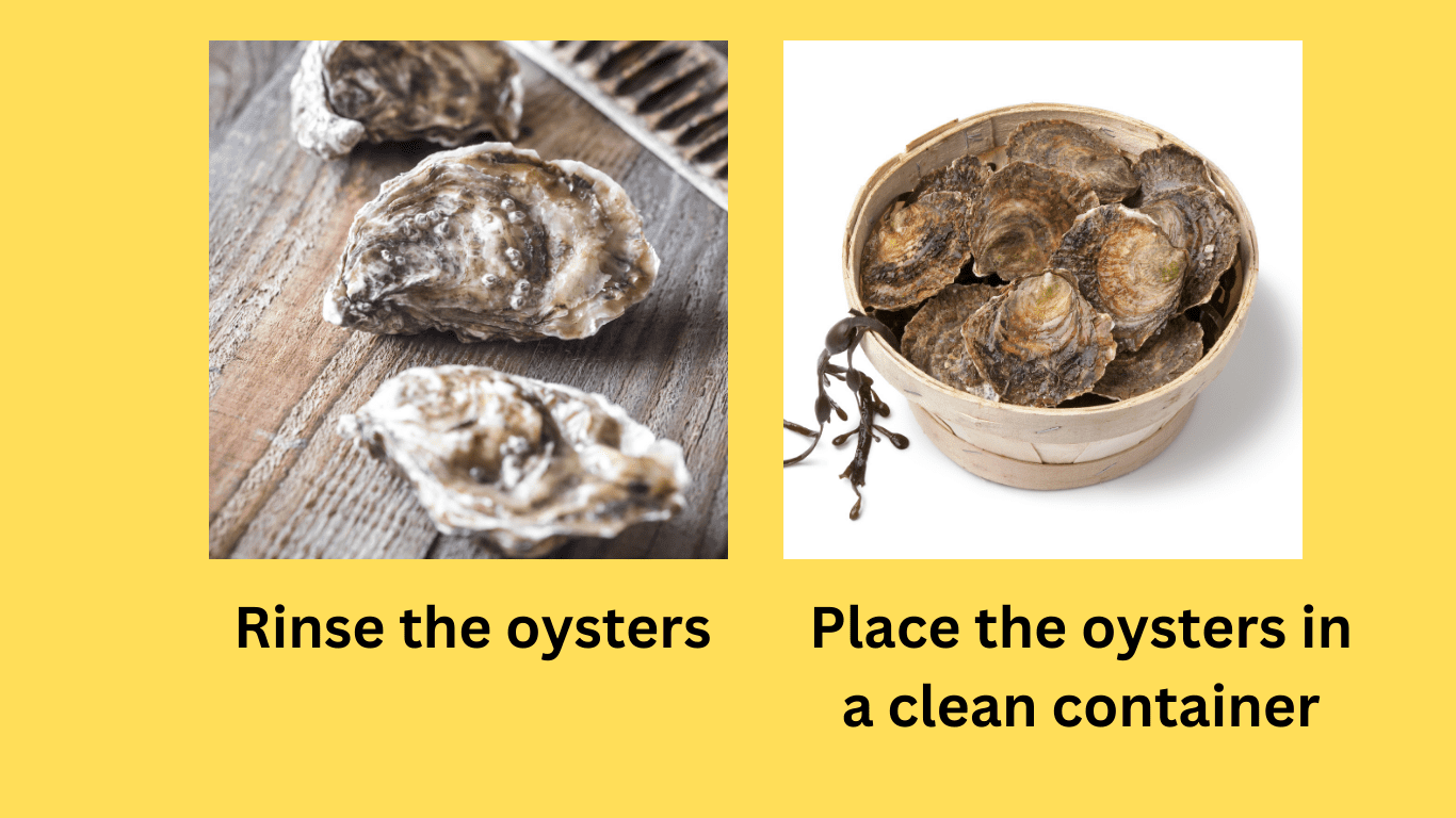 How to Store Fresh Oysters Best Tips and Guidelines