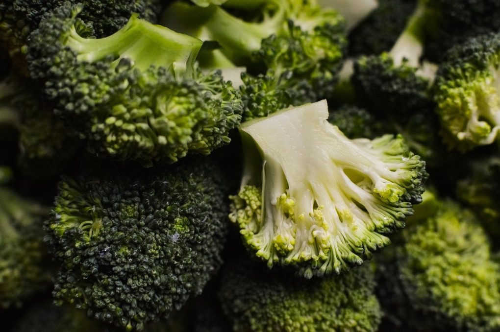 How to Store Broccoli How Store It