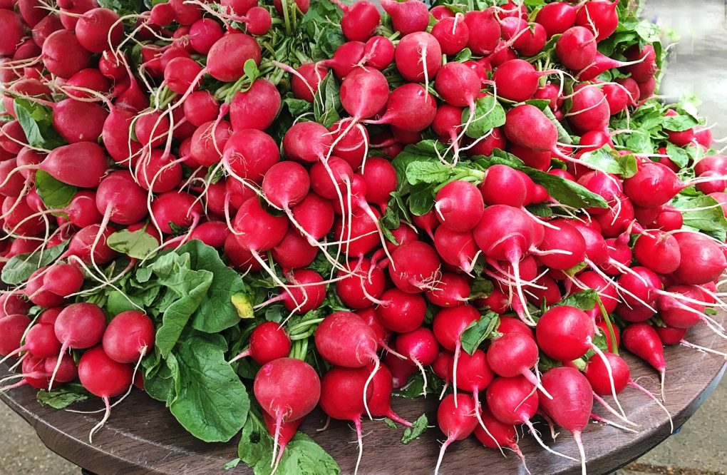 radishes, veggies, vegetables-3540697.jpg
